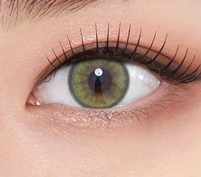 넬라 원데이 애쉬올리브(10P)